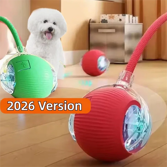Roll & Play Smart Dog Ball