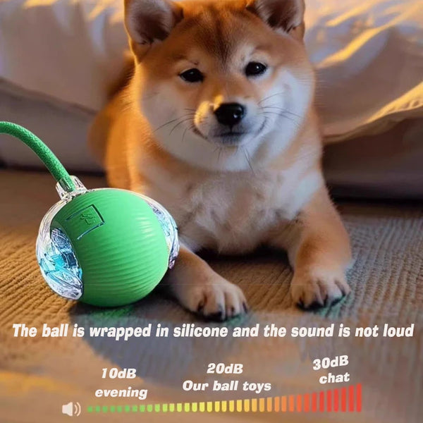 Roll & Play Smart Dog Ball